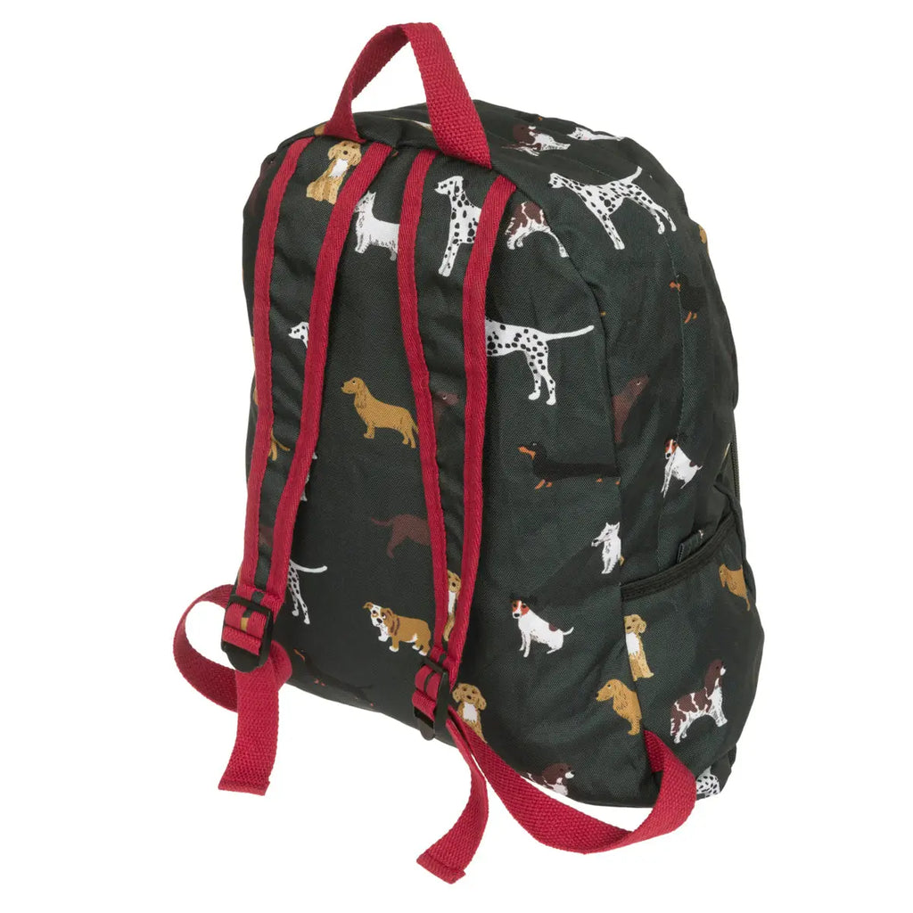 Folding Rucksack