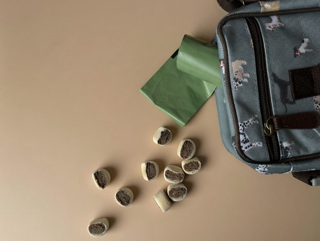Dog Walking Accessory Bag, Ideal For Treats And Poo Bags