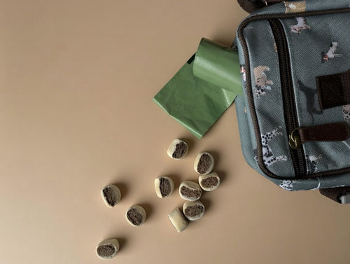 Dog Walking Accessory Bag, Ideal For Treats And Poo Bags