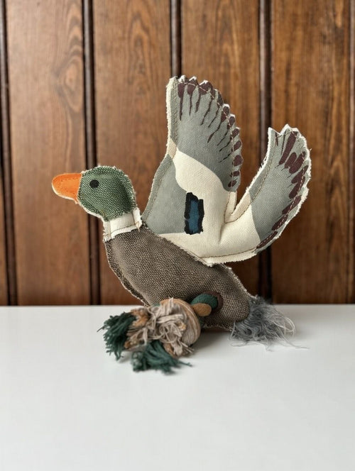 Duck Dog Toy, Internal Squeaker, Rope Legs For Tug Play