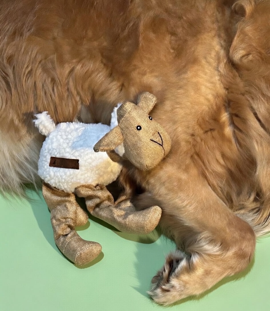 Lamb Dog Toy, Plushie, Internal Squeaker, Cuddly Friend For Your Dog