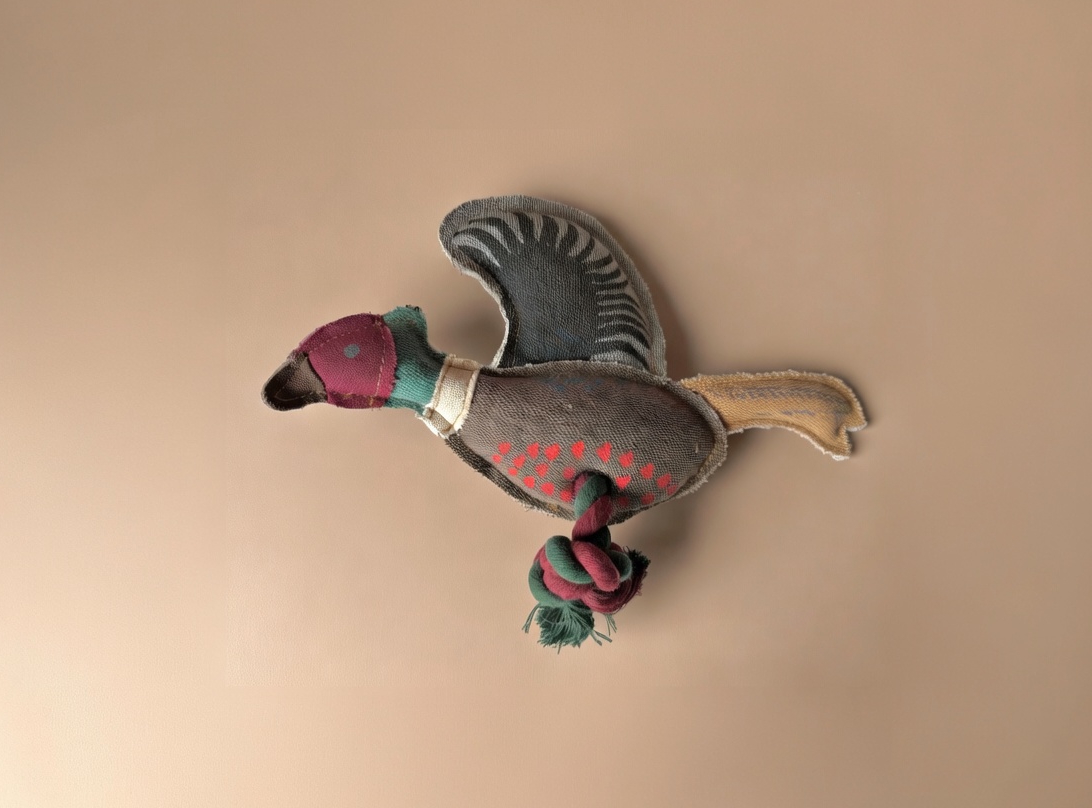 Pheasant Dog Toy, Internal Squeaker, Rope Legs For Tug Play