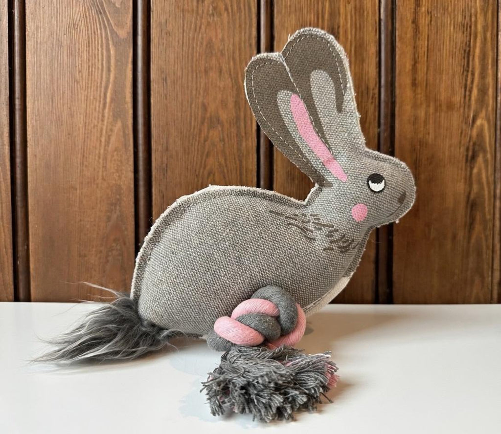 Bunny Dog Toy, Internal Squeaker, Rope Legs For Tug Play