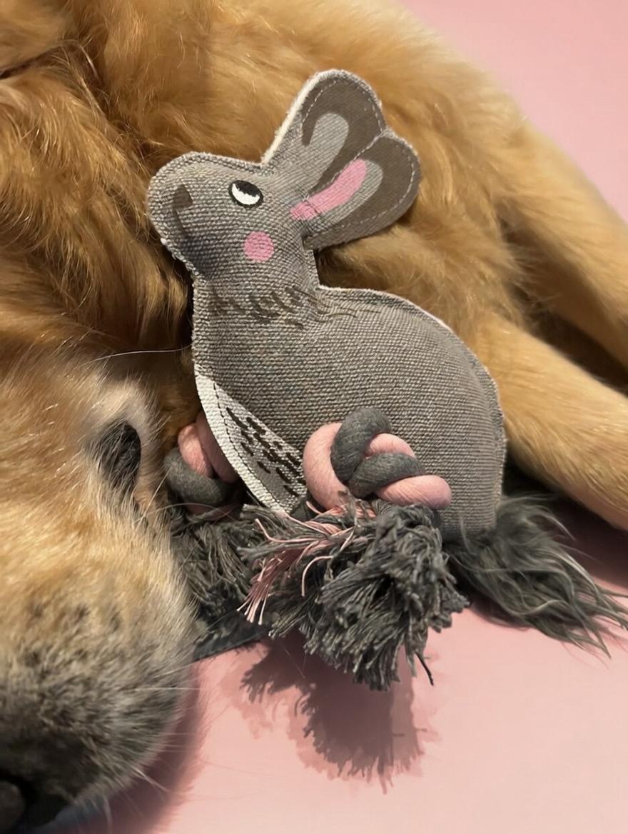 Bunny Dog Toy, Internal Squeaker, Rope Legs For Tug Play