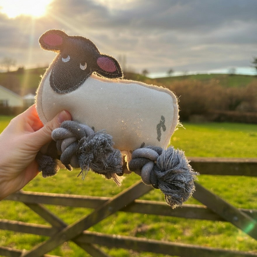 Sheep Dog Toy With Internal Squeaker and Rope Legs